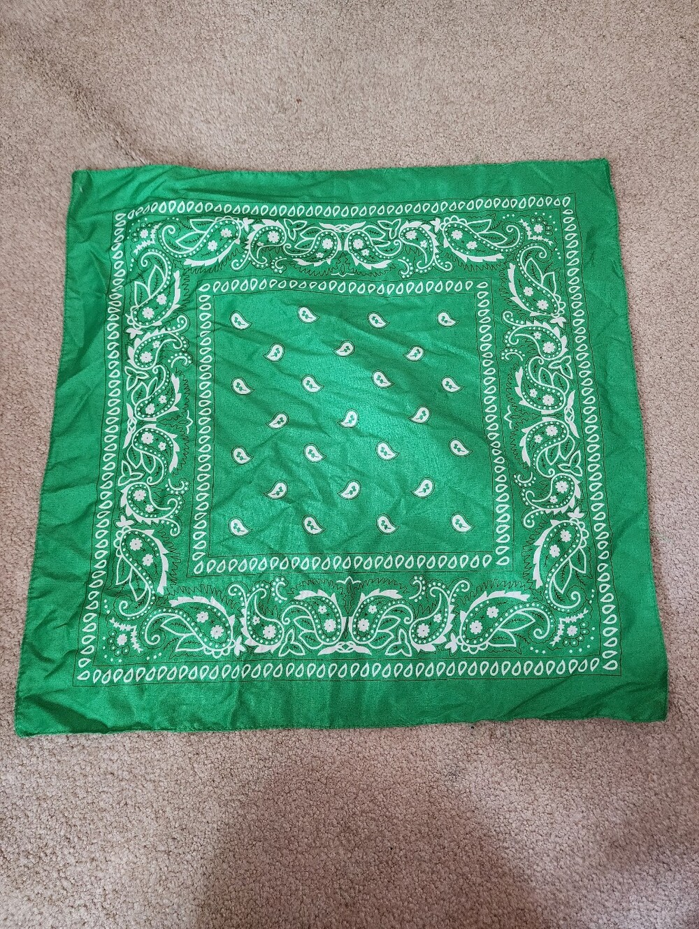 Source Unknown Green Paisley Bandana